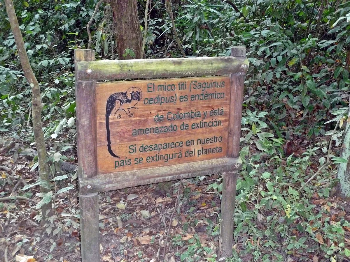 Flora, Fauna & Wildlife Conservation