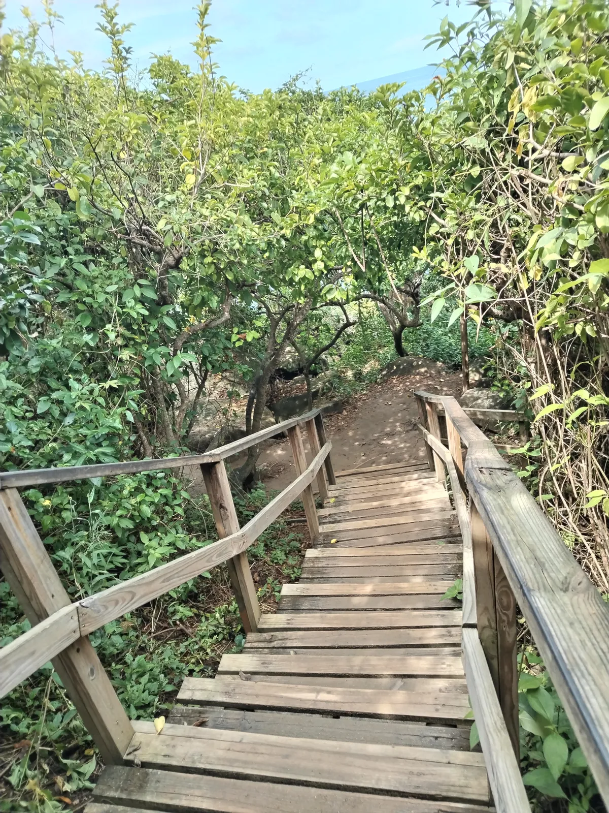 Hiking Trails & Suggested Itineraries