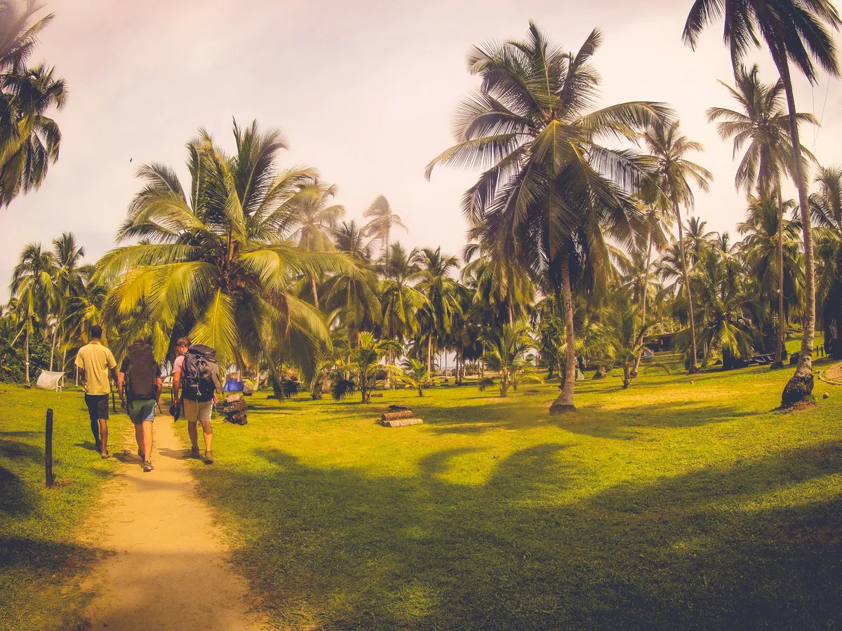 Lodging Guide: Camping, Hammocks & Luxury