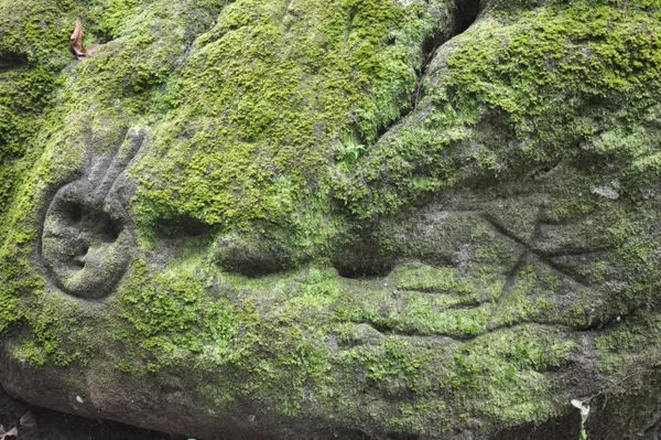 Historia del Parque y Herencia Indígena