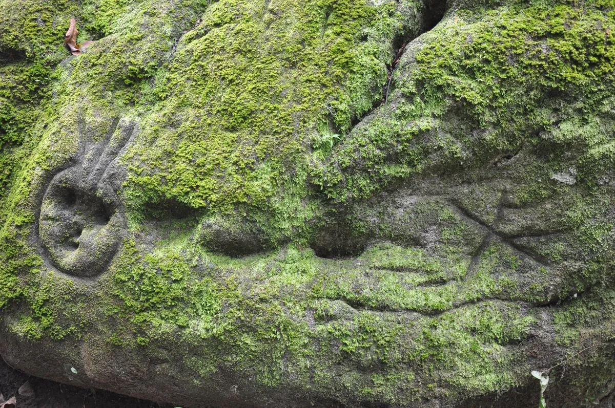 Historia del Parque y Herencia Indígena