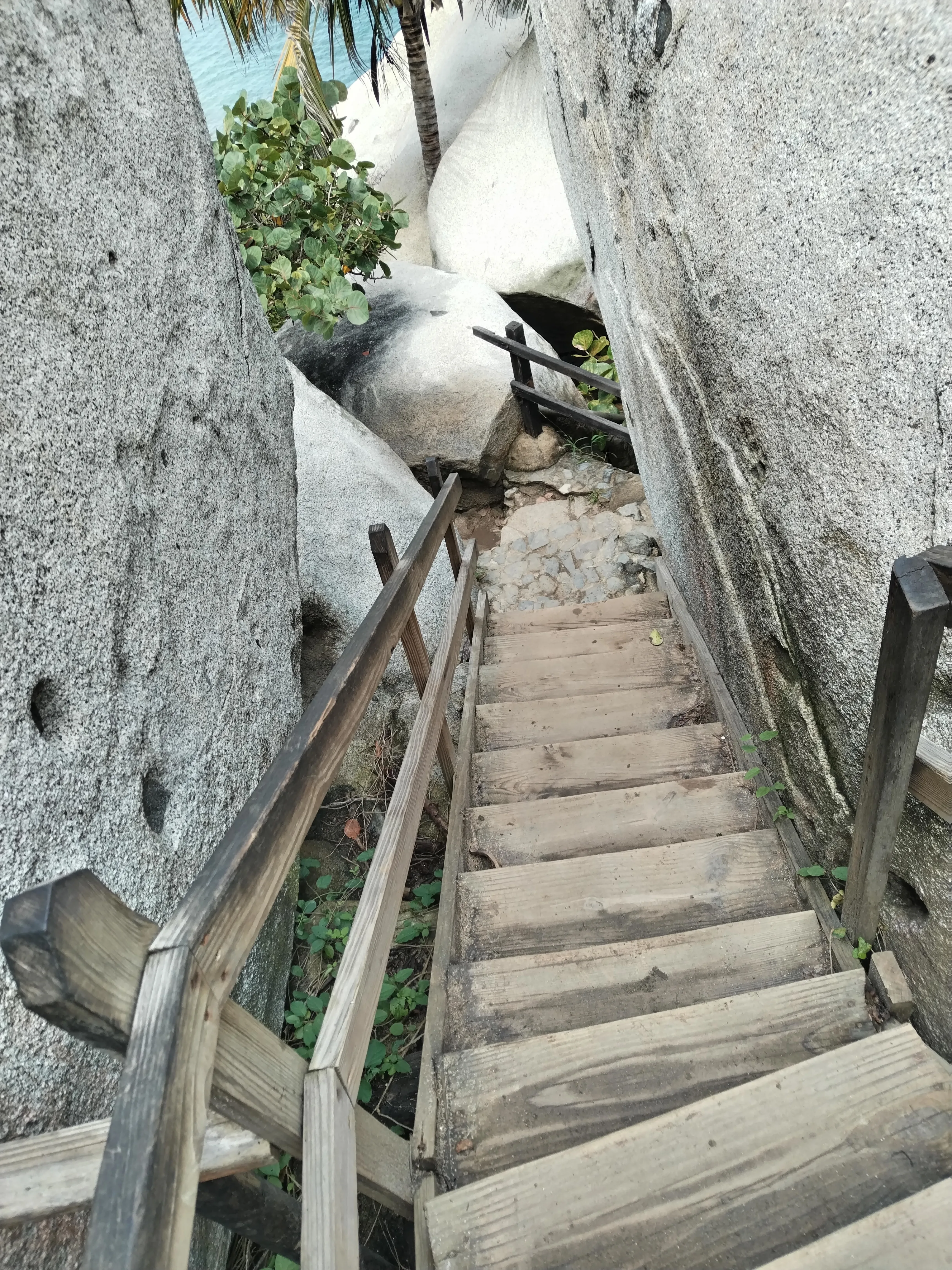 Wooden Boardwalk Steps along the Zaino Trail