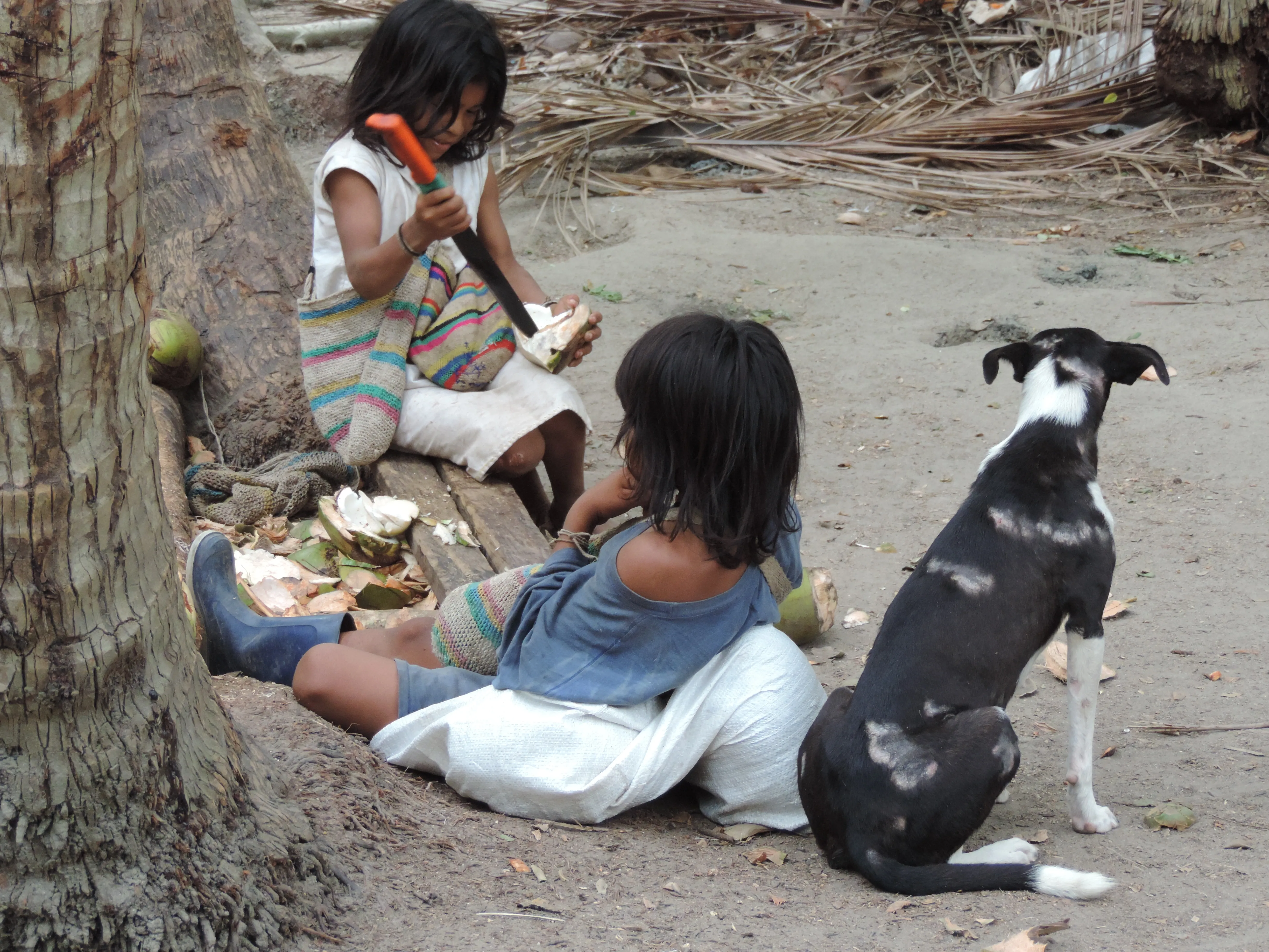 Niños Indígenas con Vestimenta Tradicional