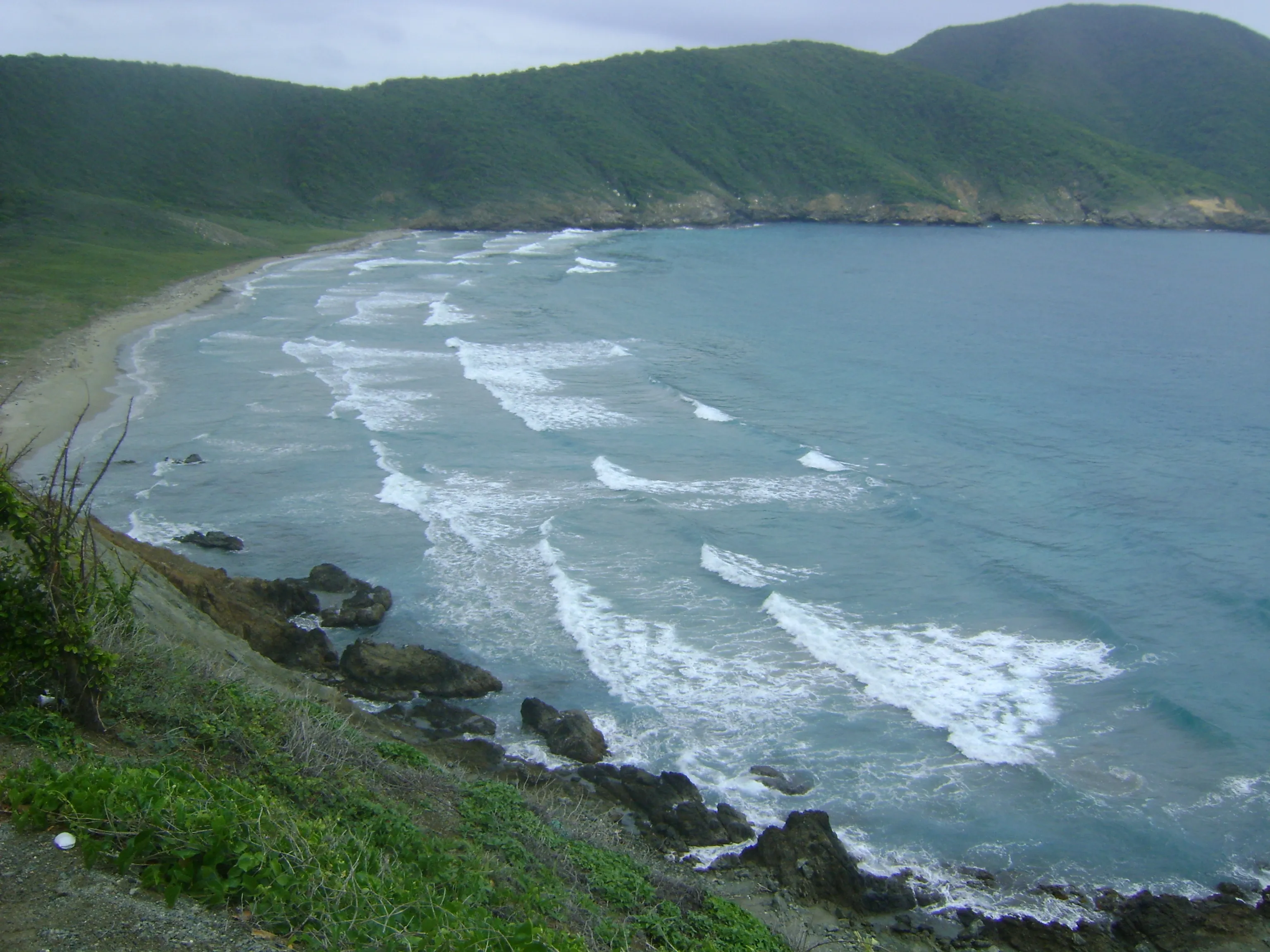 Protected Forest Trails and Coastline of Tayrona