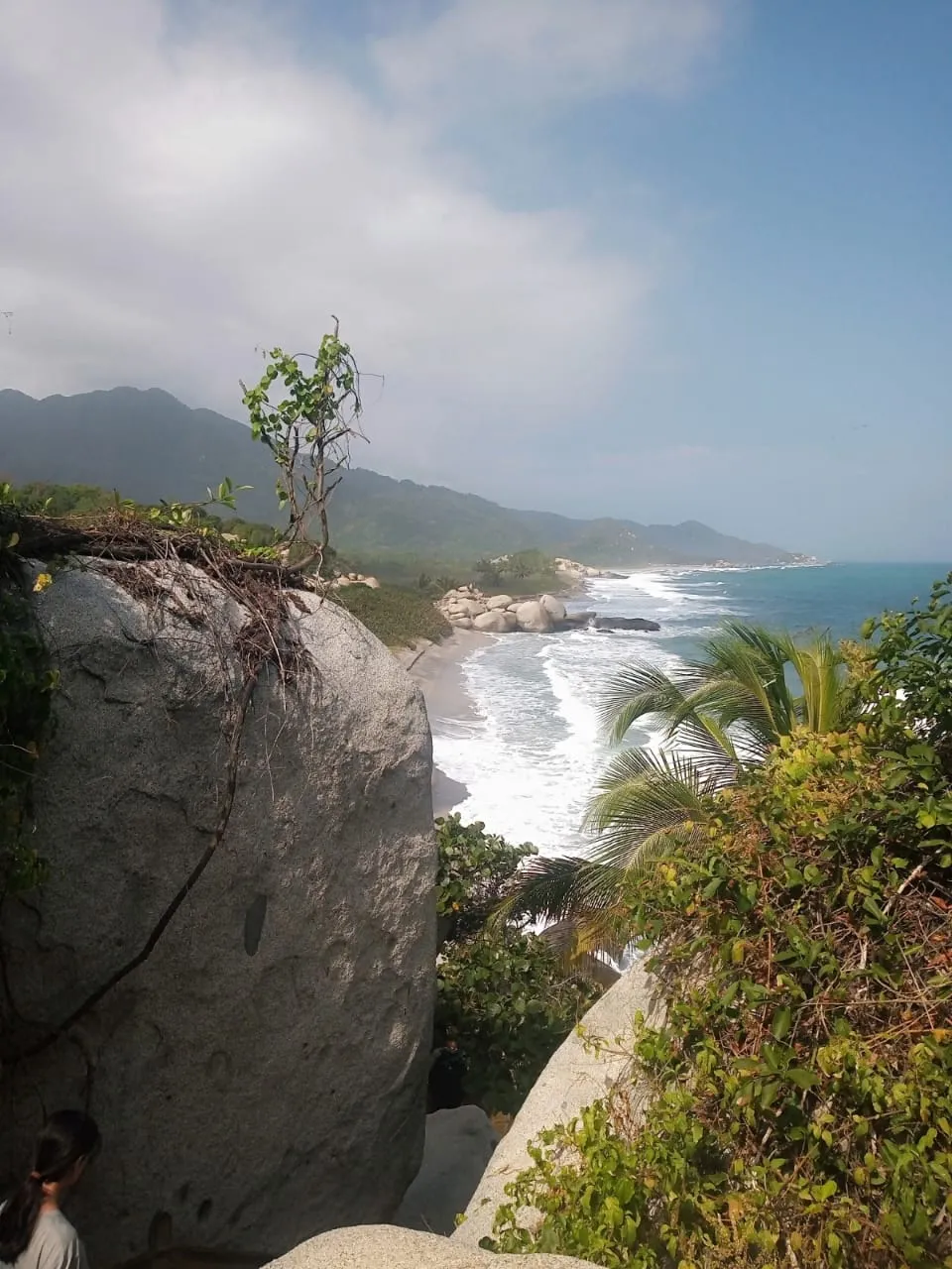 A Wild, Undeveloped Beach with Waves Crashing Against a Forest Backdrop