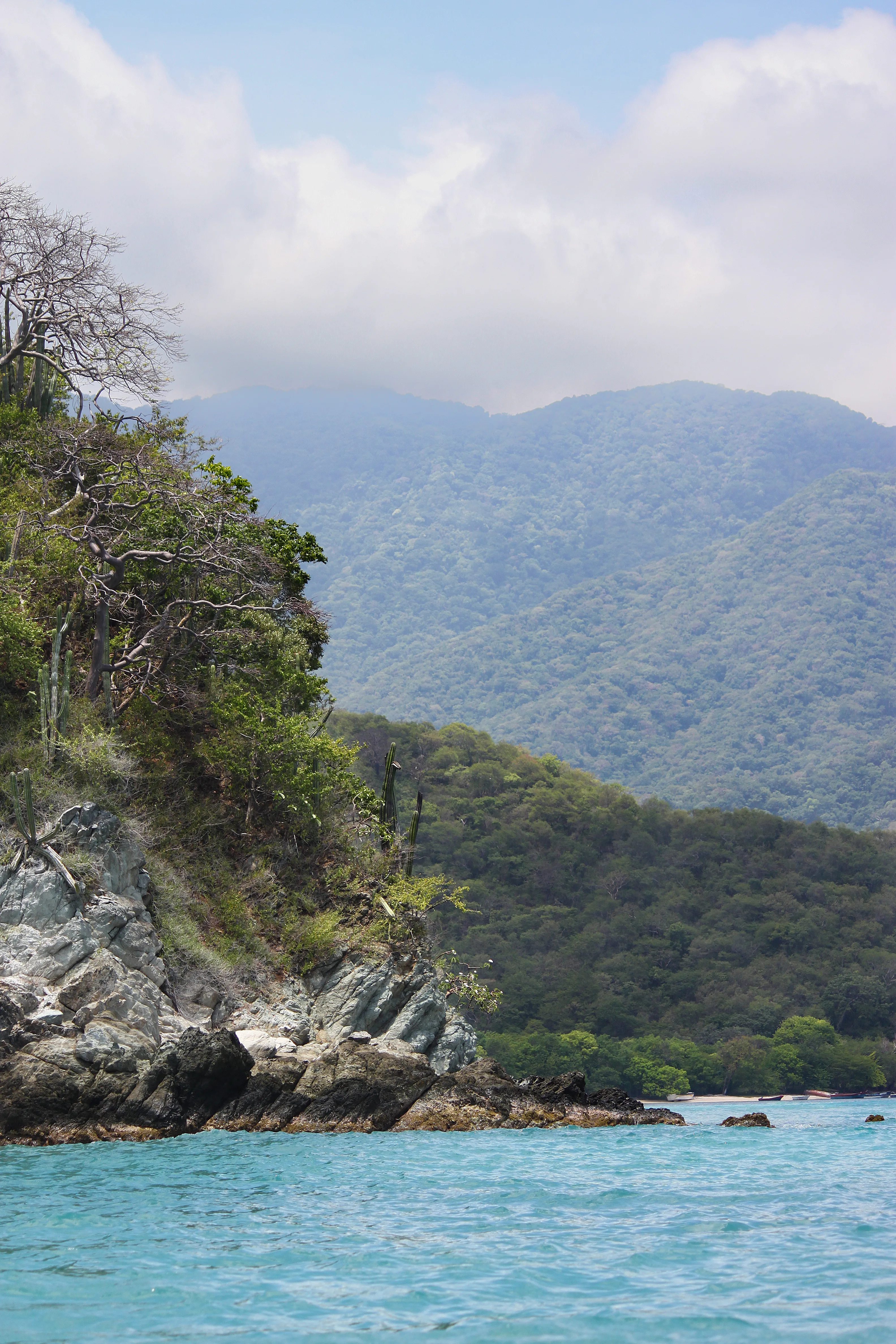Hotel Villa Maria Tayrona - Un Remanso de Hospitalidad Inclusiva